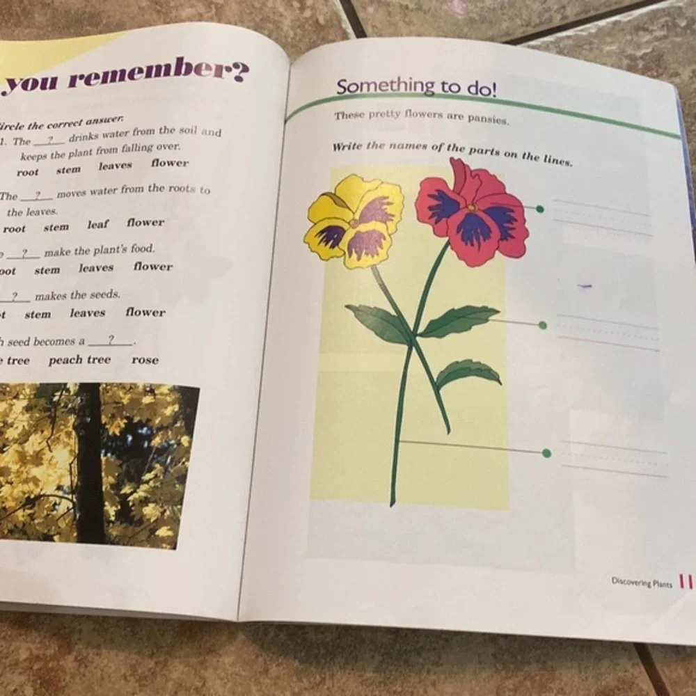 A Beka Discovering God’s World 1 Science Reader Student Book Homeschool
